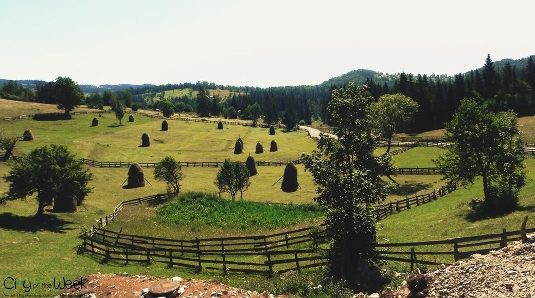 See the Romanian mountain scenery without even getting out of your car! Read all about it: http://wp.me/p1hz24-1cO