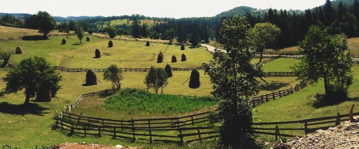 See the Romanian mountain scenery without even getting out of your car! Read all about it: http://wp.me/p1hz24-1cO