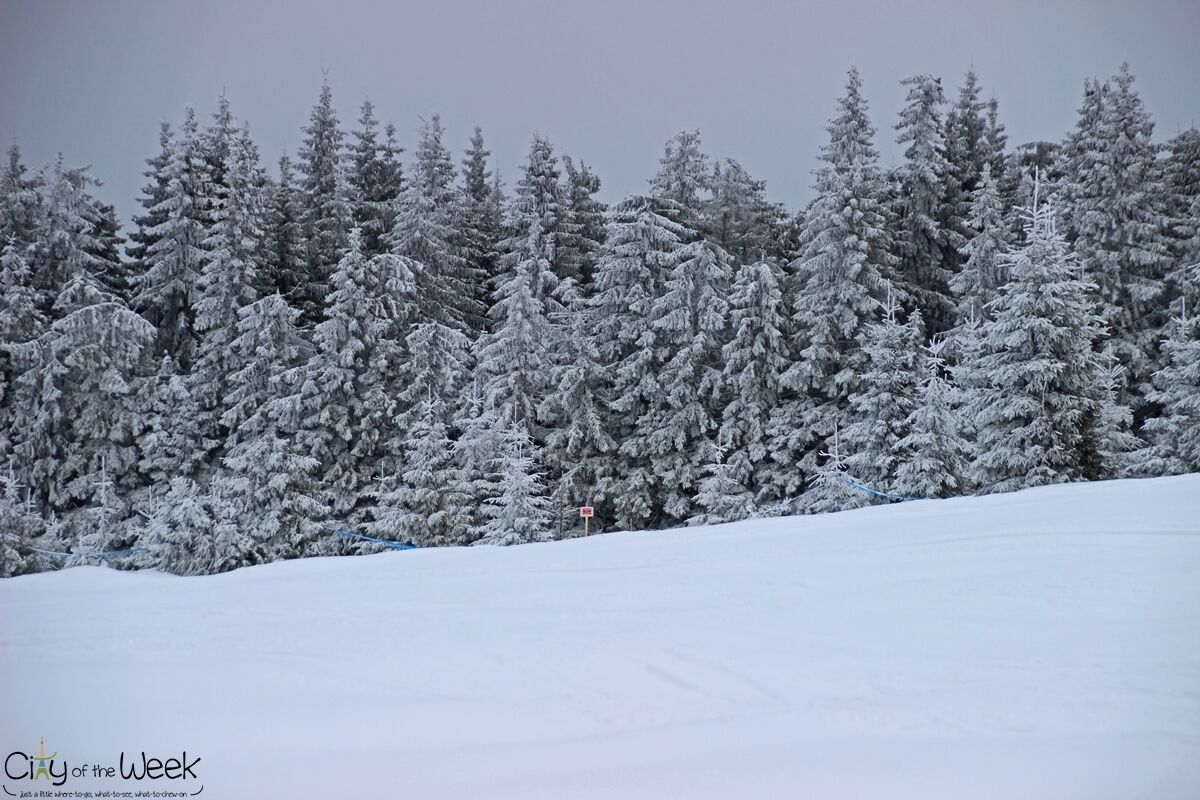 Winter in the Harghita Mountains of Romania
http://cityoftheweek.net/2016/01/11/bucin-top-harghita-mountains-photo-diary/