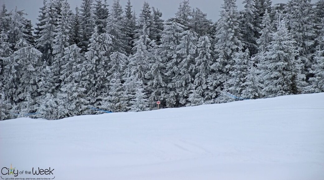 Winter in the Harghita Mountains of Romania
http://cityoftheweek.net/2016/01/11/bucin-top-harghita-mountains-photo-diary/