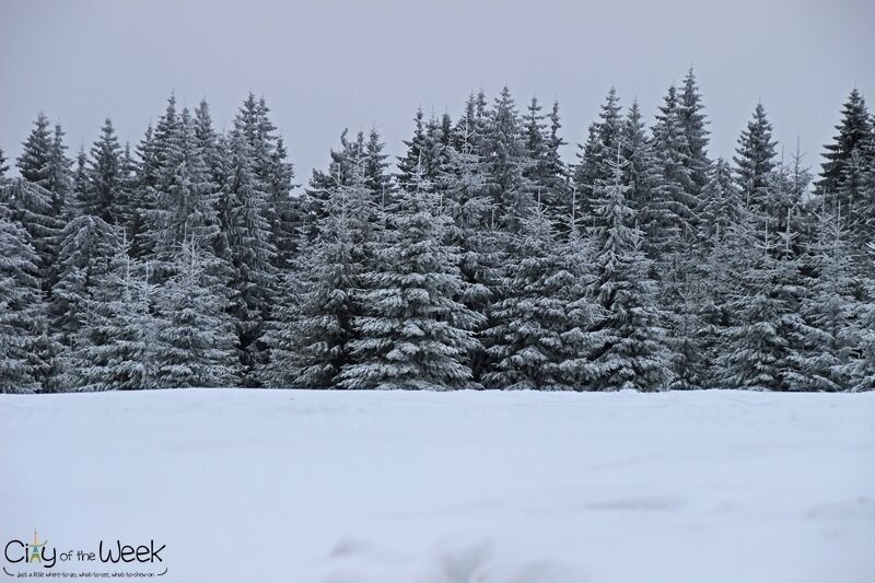Winter in the Harghita Mountains of Romania
http://cityoftheweek.net/2016/01/11/bucin-top-harghita-mountains-photo-diary/