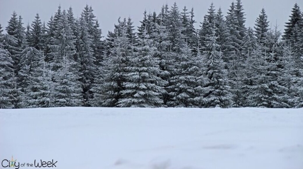 Winter in the Harghita Mountains of Romania
http://cityoftheweek.net/2016/01/11/bucin-top-harghita-mountains-photo-diary/