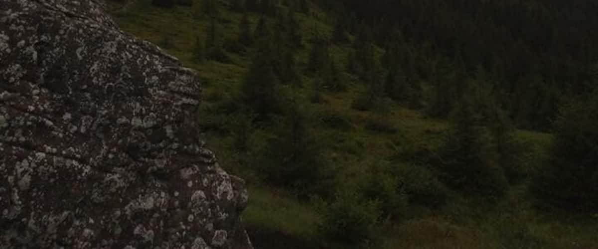 A mountain landscape with a rocky outcrop in the foreground and a forested valley below.