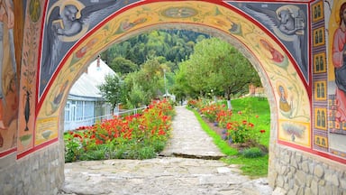 A long way up through the forest to discover the beautifully preserved wooden church of Old Agapia #colorful