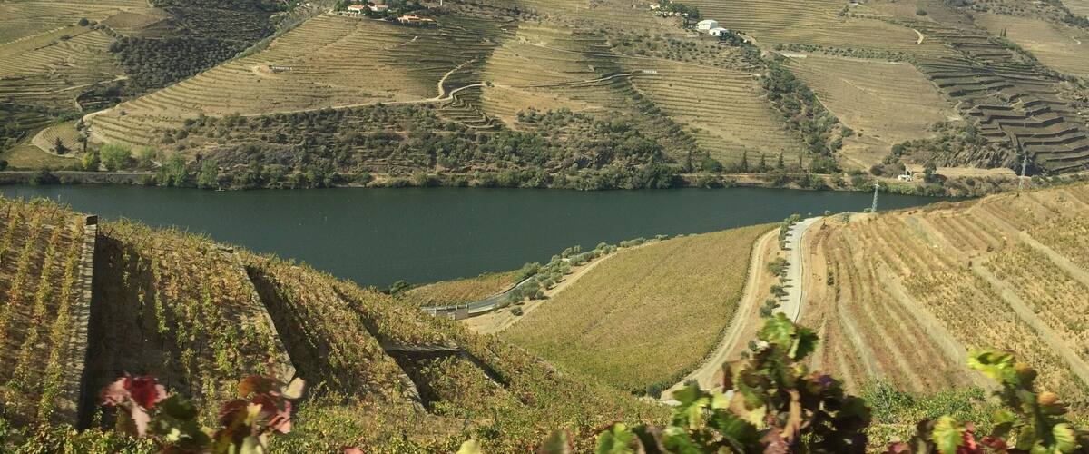 Terraced vineyards, a river, and a hill with scattered buildings.