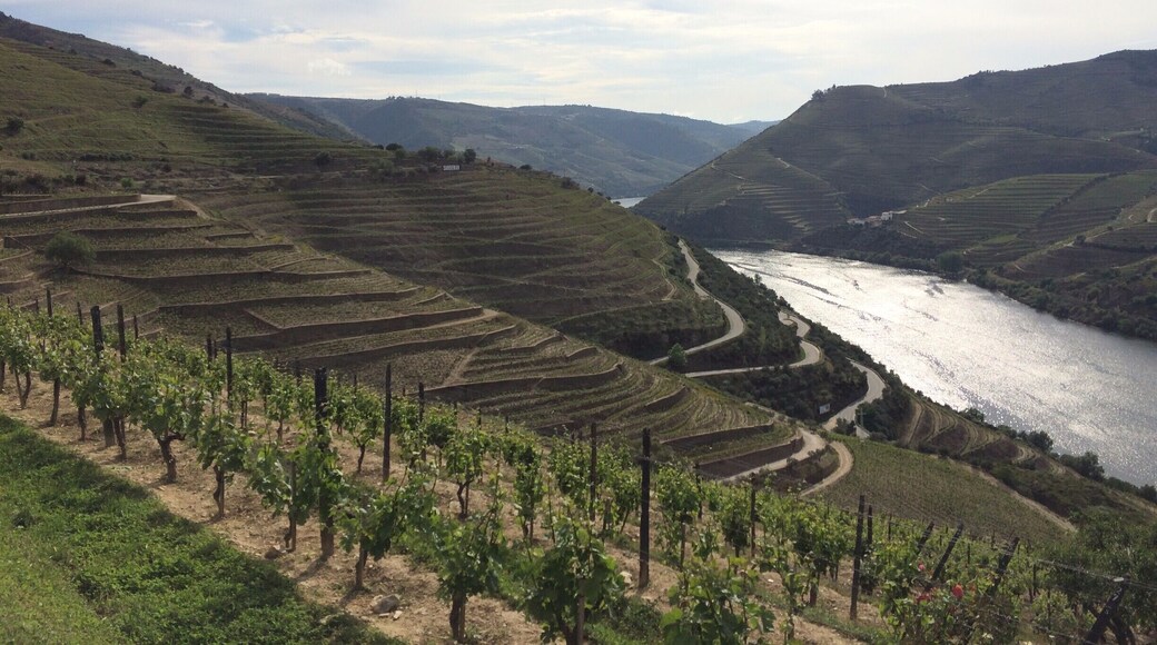 à faire ! la croisière sur le Douro au départ de Porto.