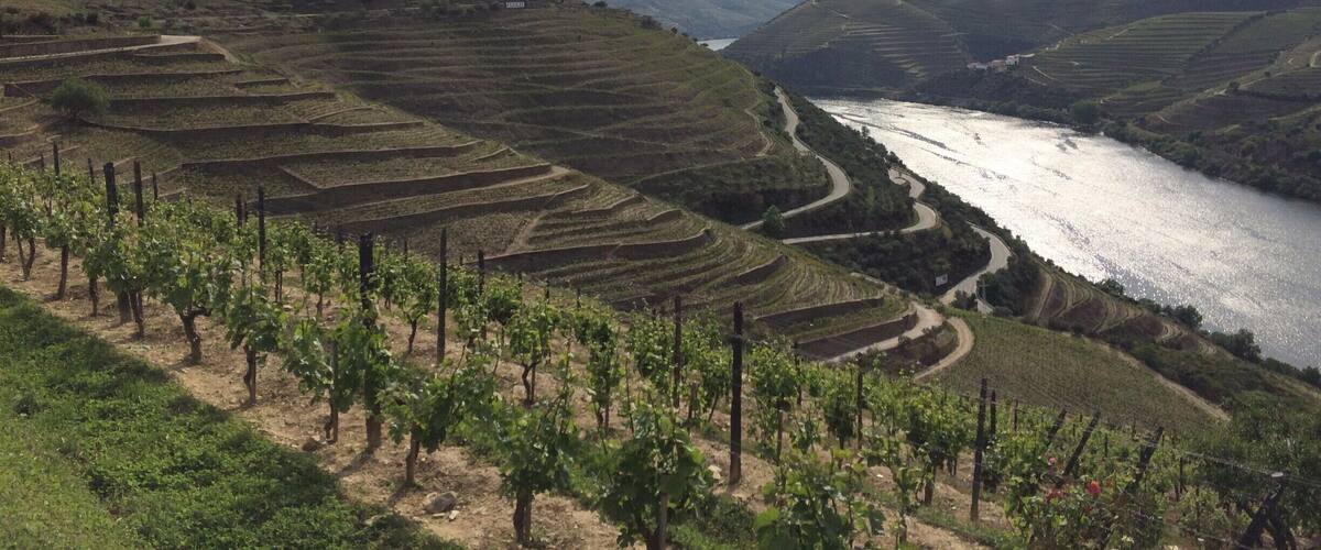 à faire ! la croisière sur le Douro au départ de Porto.