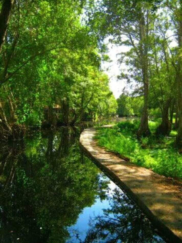 A narrow waterway surrounded by dense green foliage and trees.