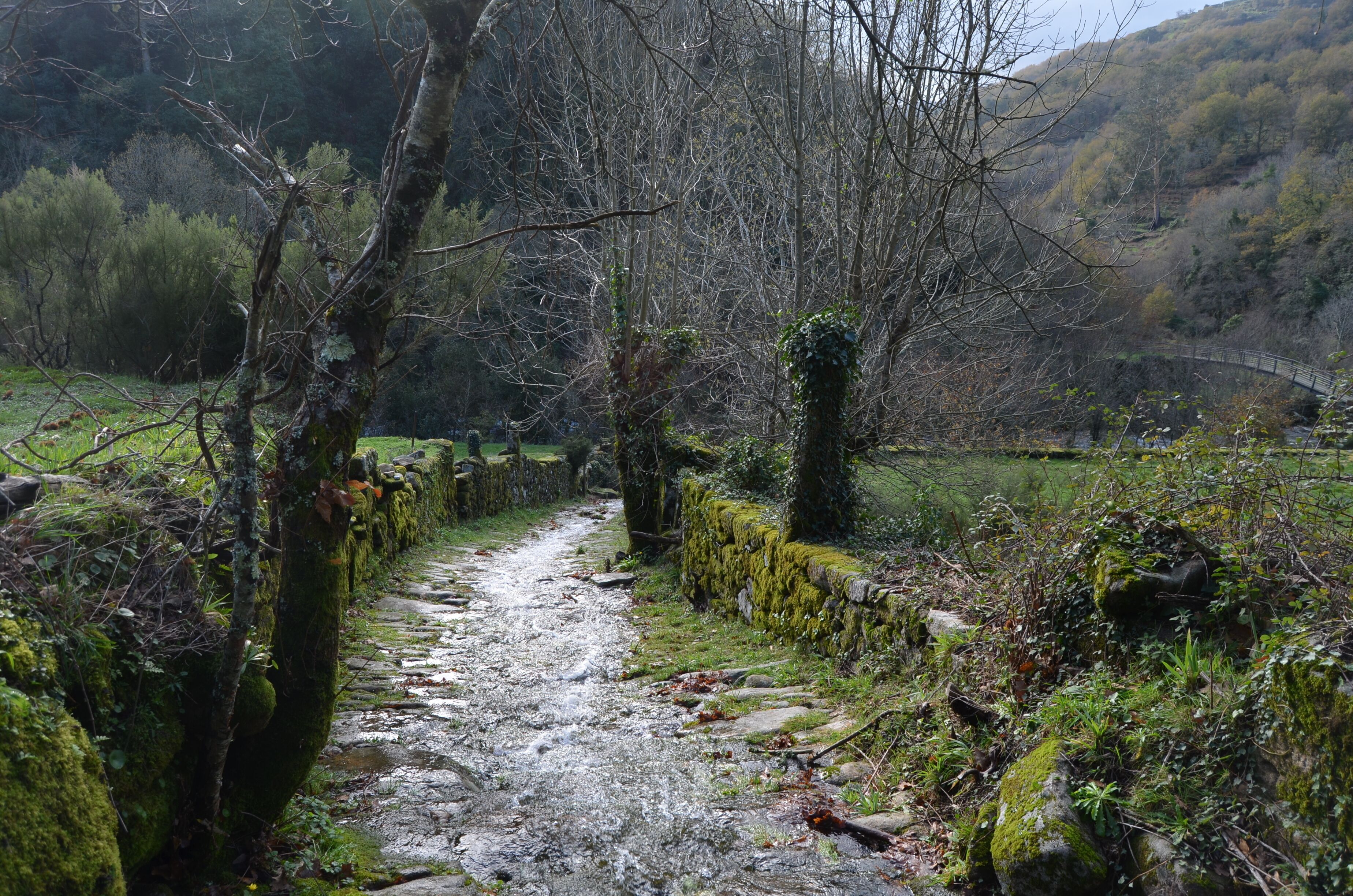 Every path has its obstacles