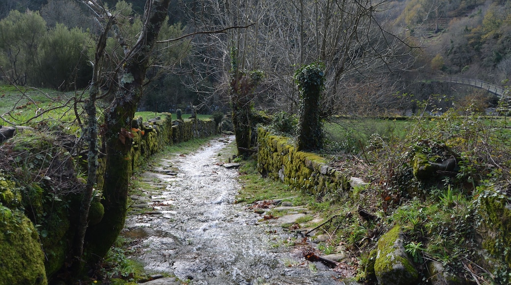 Every path has its obstacles