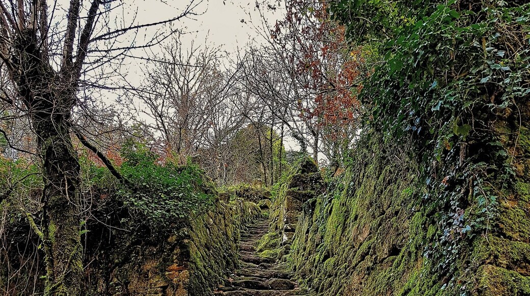 Morning walk around my #Hometown village. #happydays #nature #home