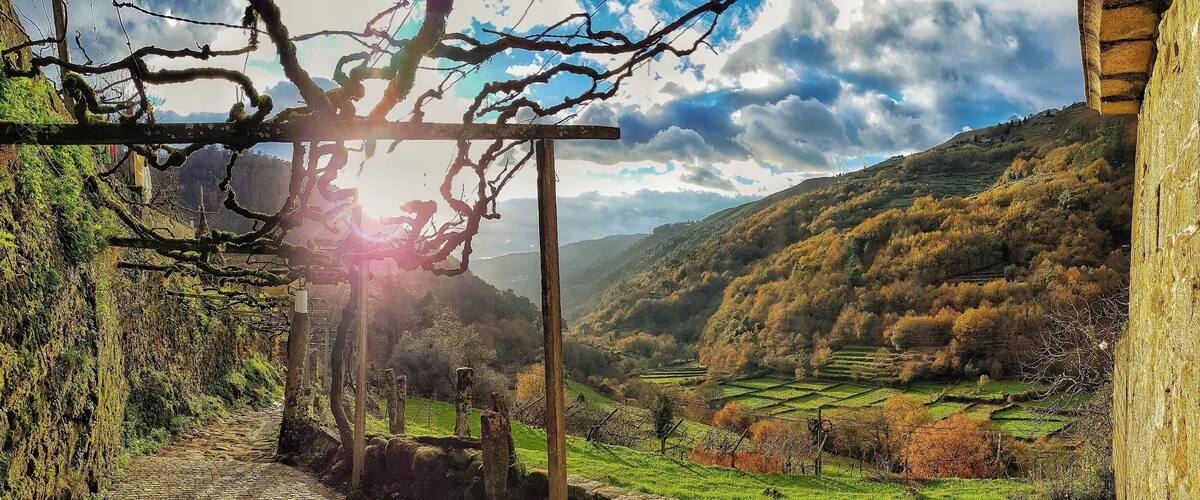 Morning walk around my #Hometown village. #happydays #nature #home