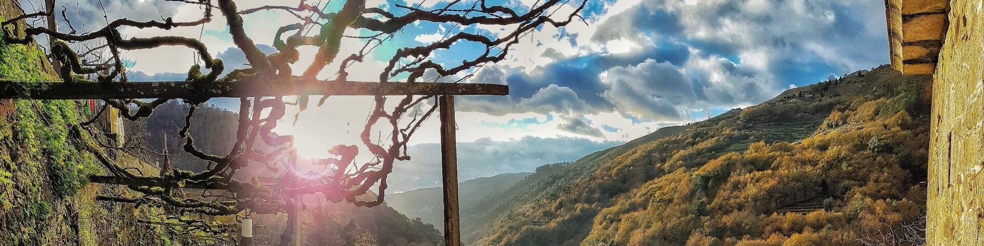 Morning walk around my #Hometown village. #happydays #nature #home