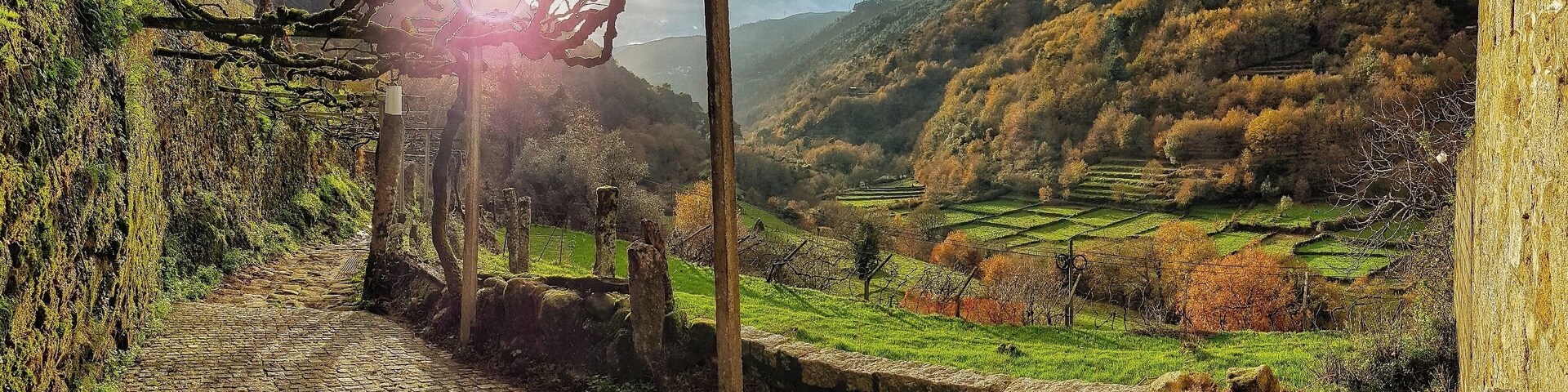 Morning walk around my #Hometown village. #happydays #nature #home