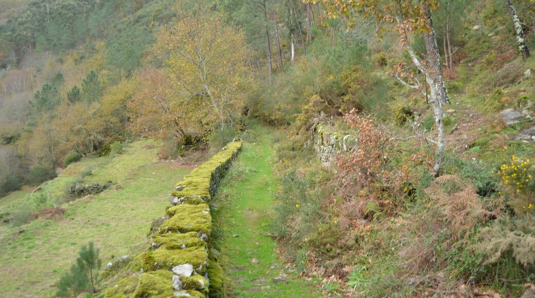 What will you find at the end of the track?