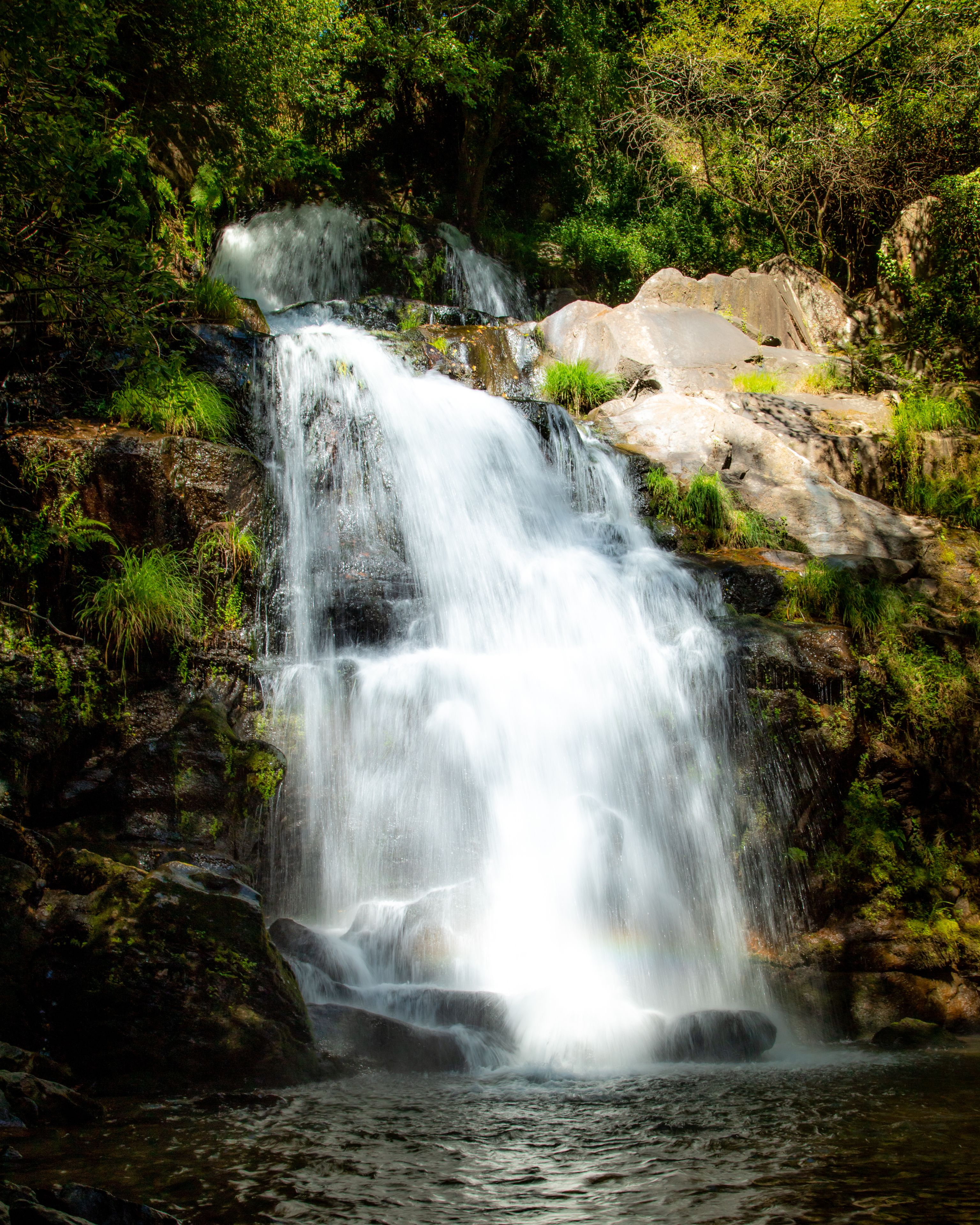Une cascade d’eau se déversant sur des rochers, le tout entouré d’une végétation luxuriante.