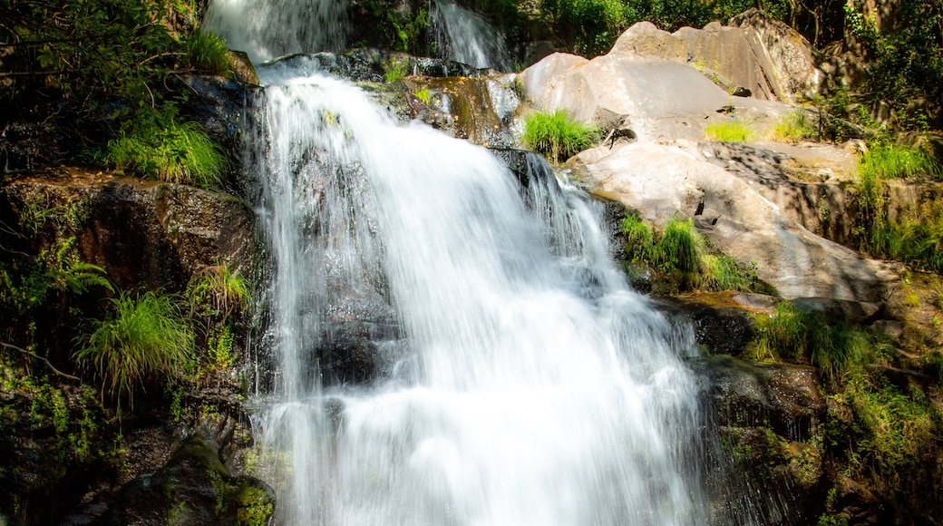 Une cascade d’eau se déversant sur des rochers, le tout entouré d’une végétation luxuriante.