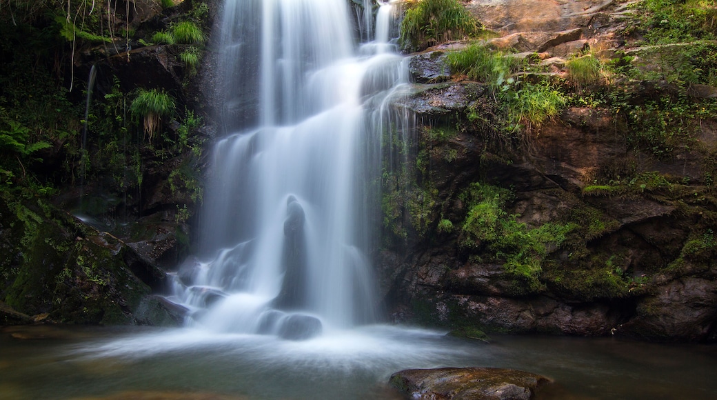 Une cascade d’eau se précipitant le long d’une falaise rocheuse, entourée d’une végétation luxuriante.