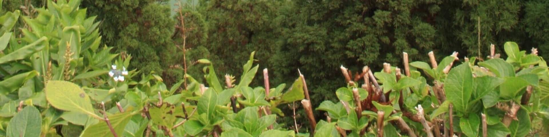 Drive-by view of this beautiful man-made lake between Lawrence and Topeka. Lots of camp sites and hiking trails in the area!
