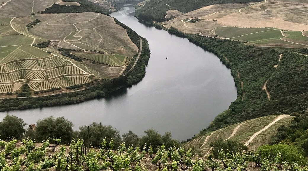 Douro Valley, Portugal