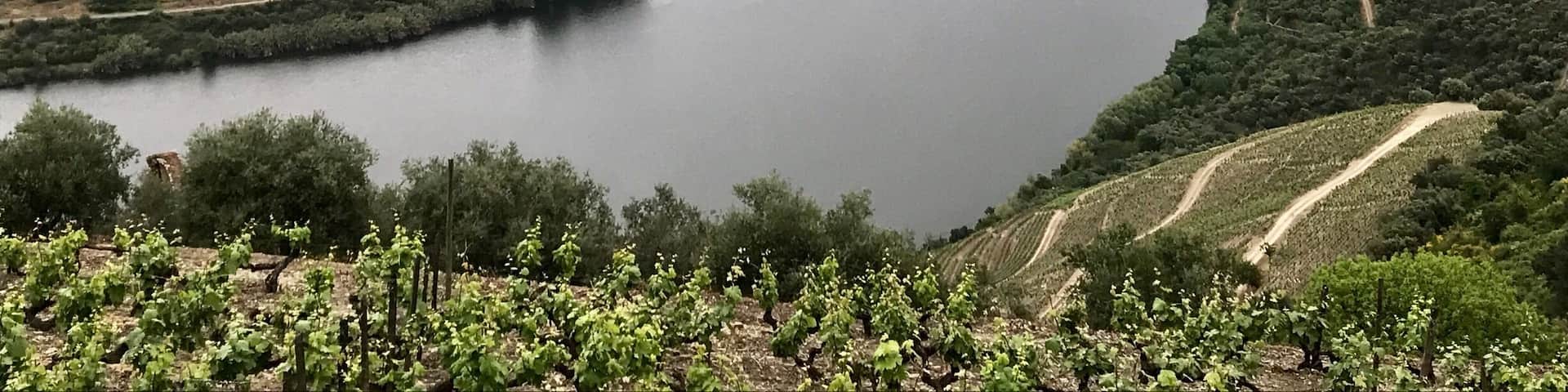 Douro Valley, Portugal