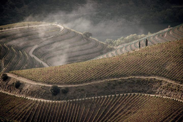 The magnificent Douro Valley from Abelheira belvedere