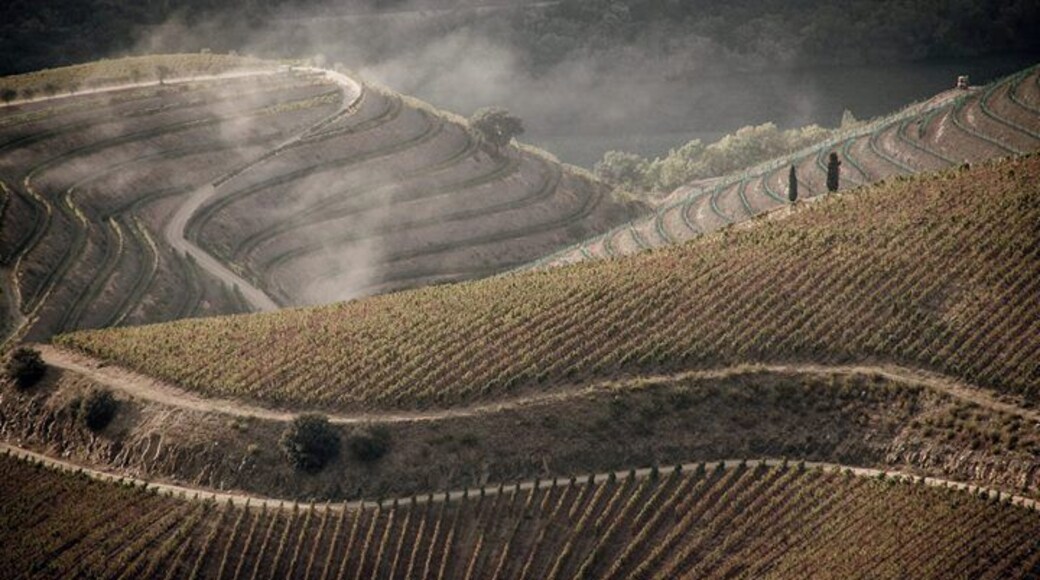 The magnificent Douro Valley from Abelheira belvedere