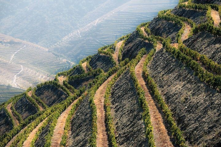 The magnificent Douro Valley. From Qtªa das Aranhas. Portugal