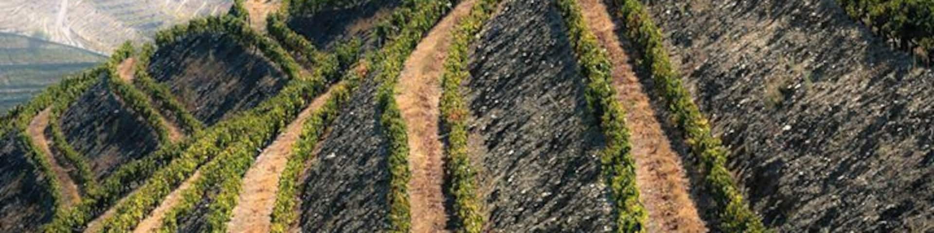The magnificent Douro Valley. From Qtªa das Aranhas. Portugal