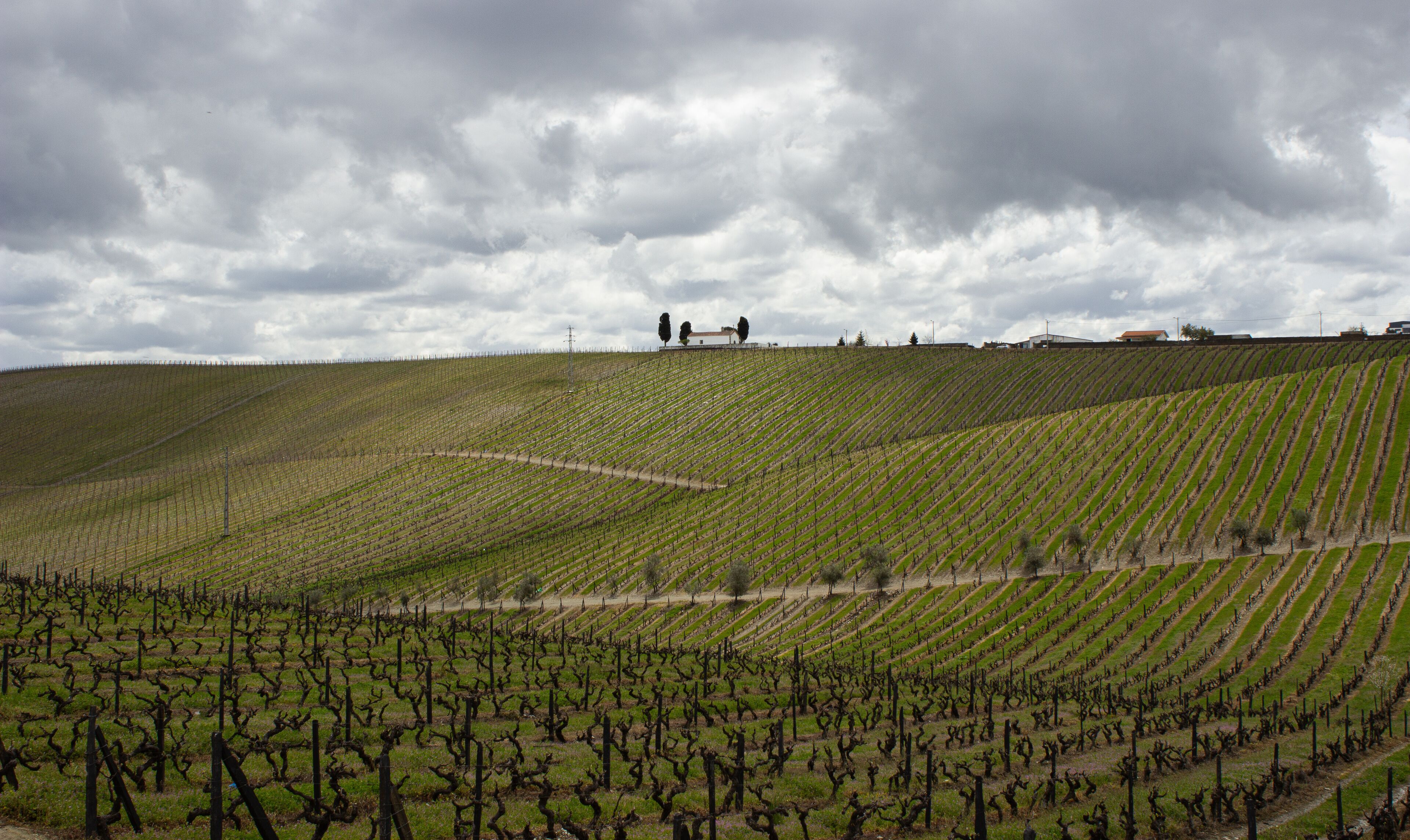 São João da Pesqueira