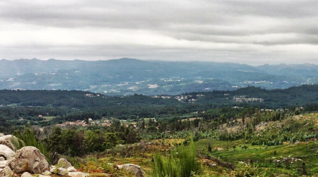 Bioparque, a place where rest and peace abound, coupled with a magnificent vegetation in communion with a great variety of species and plants. #camp