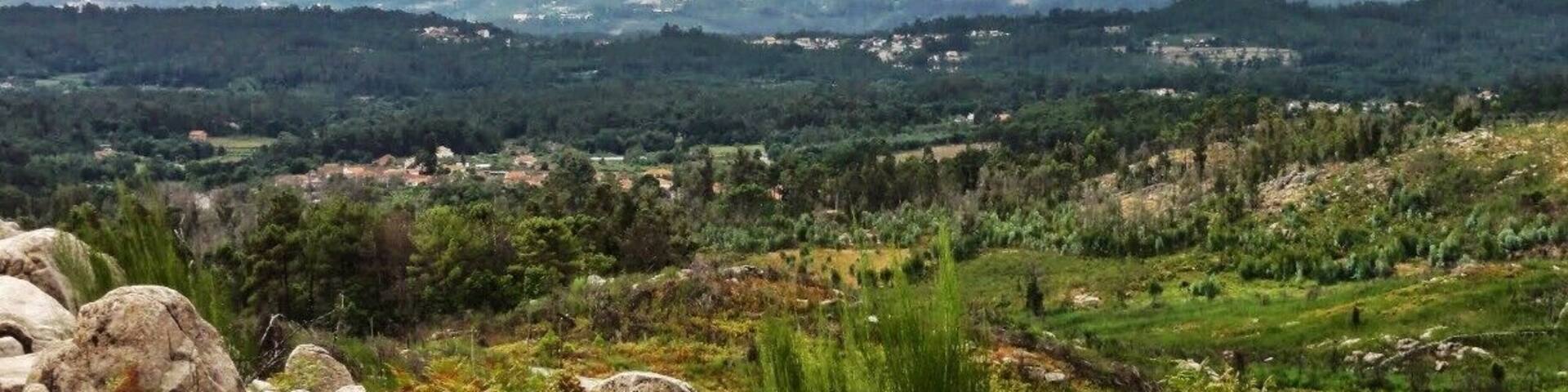 Bioparque, a place where rest and peace abound, coupled with a magnificent vegetation in communion with a great variety of species and plants. #camp