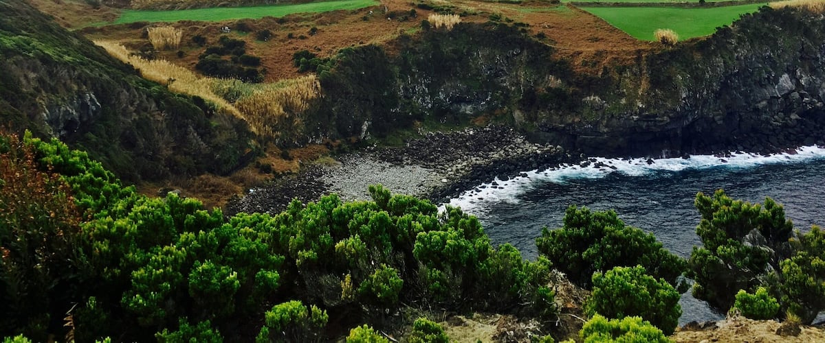 A coastal landscape with green fields, rocky cliffs, and a body of water.