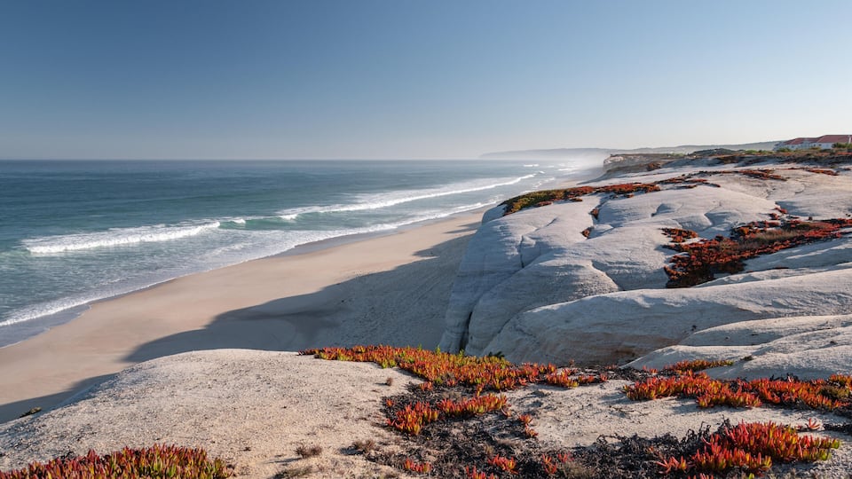 A beach with white rocks and red seaweed.