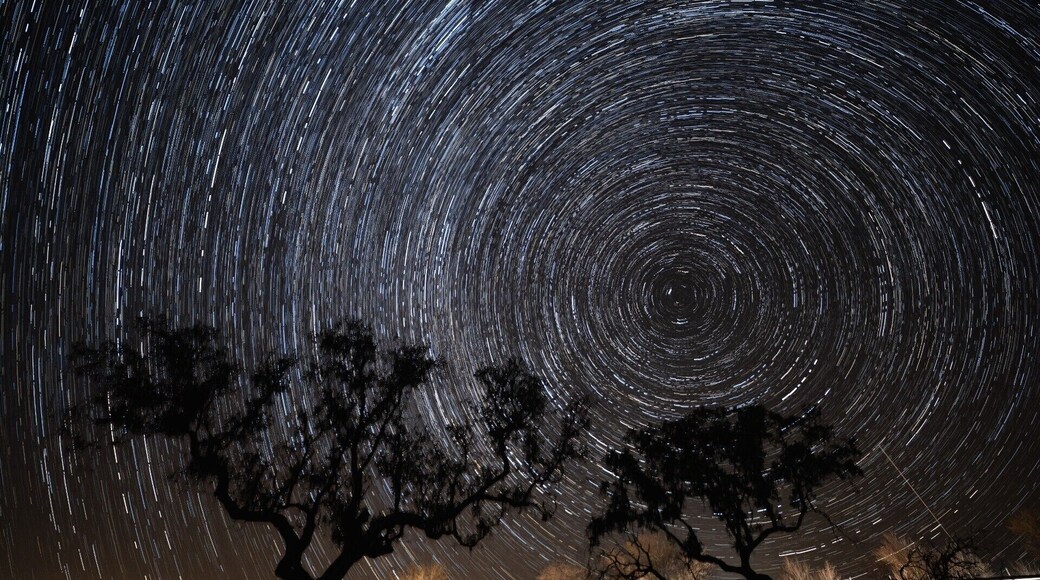 Star Trail on clear night over Alentejo, in Alqueva Dark Sky