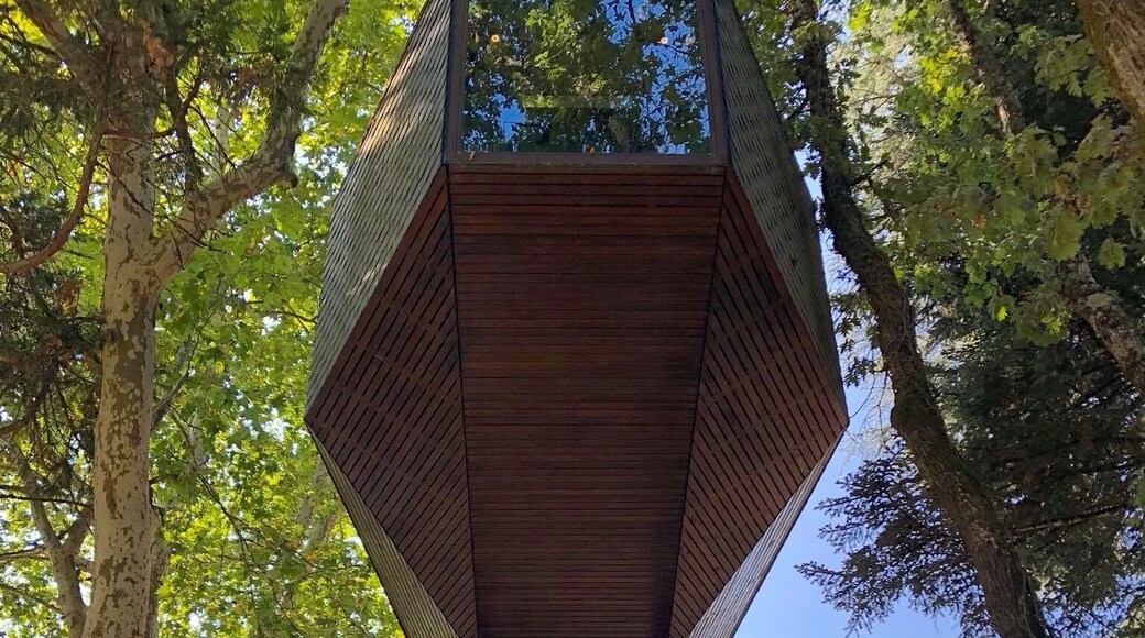 Pedras Salgadas Spa and Nature Park #portugal #hotel #pedrassalgadas #treehouse
