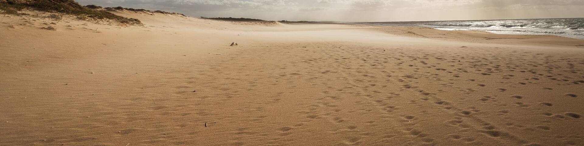 A sandy beach with footprints and a dune on the left.