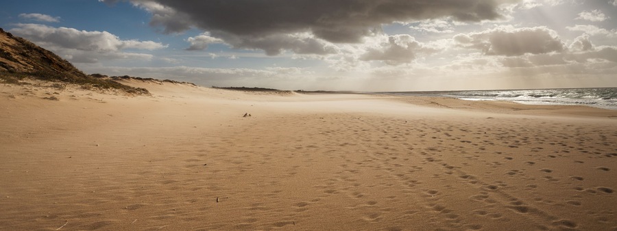 Une plage de sable avec des empreintes et une dune sur la gauche.