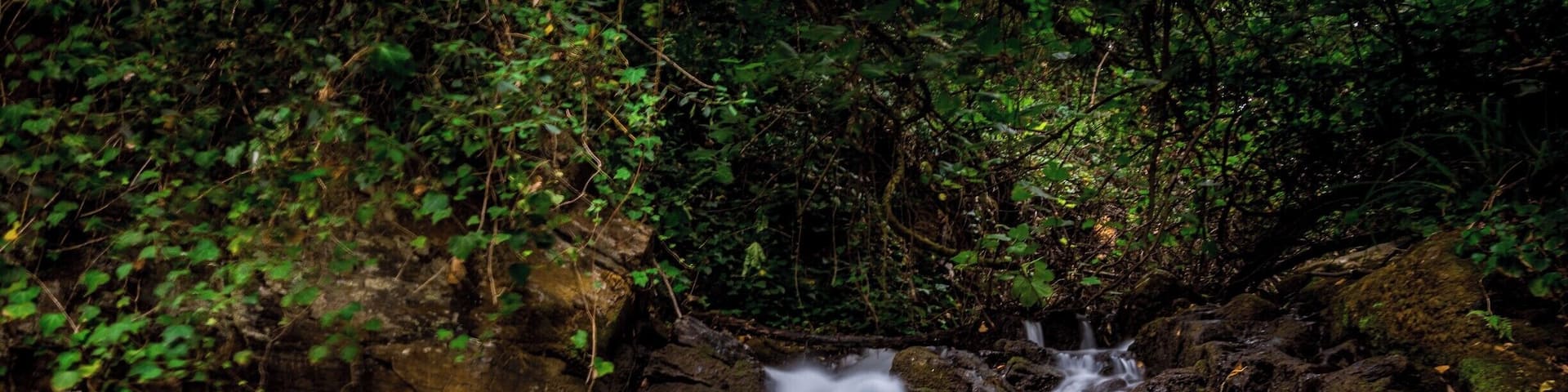 A series of small waterfalls immersed in the woods. Excellent in summer for cold water baths!