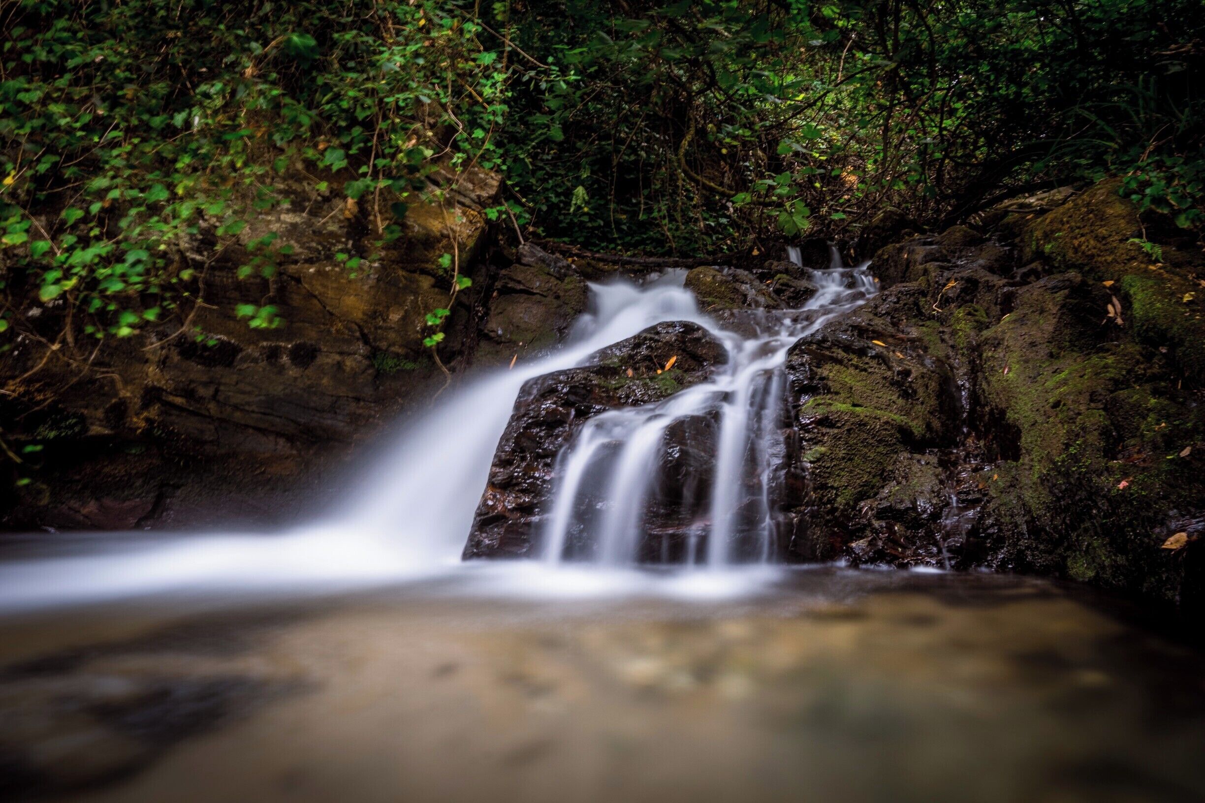 A waterfall cascading over rocks in a forested area.