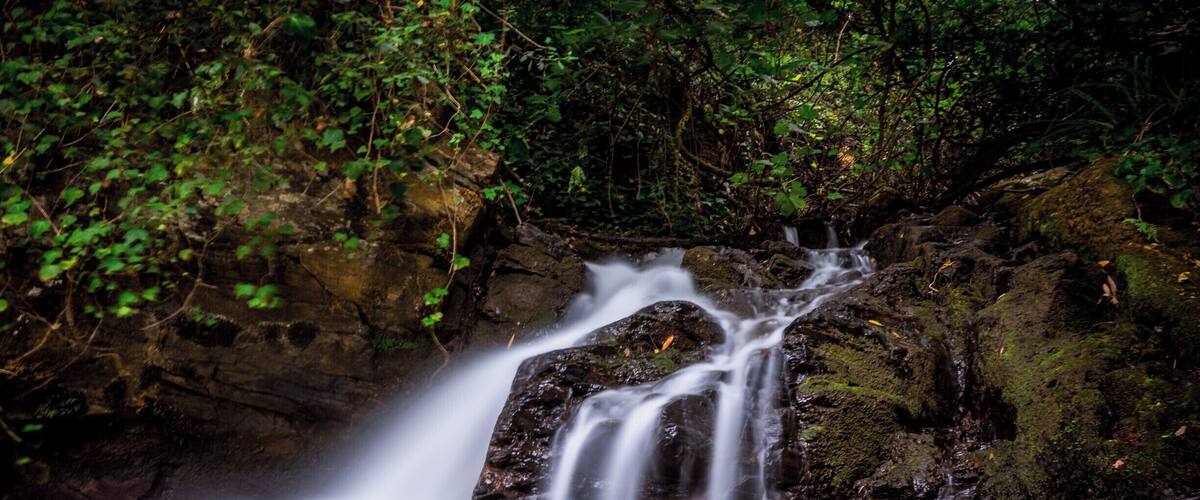 A waterfall cascading over rocks in a forested area.