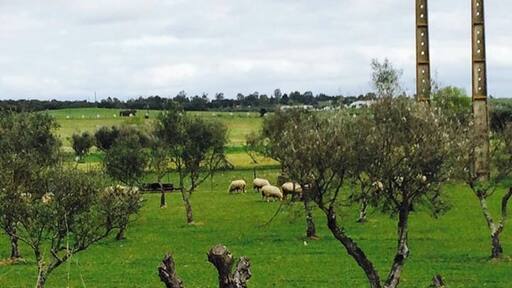 Country side around Evora, Alentejo, Portugal