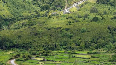 A lush valley with a waterfall and terraced fields.