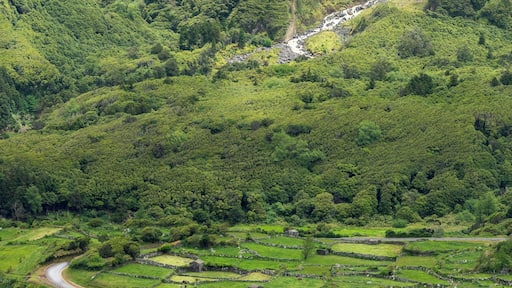 Incredible Ribeira Grande waterfall after a big storm in Flores Island, Azores, Portugal
#BVSBlue
#azores