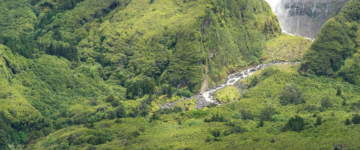 A lush valley with a waterfall and terraced fields.
