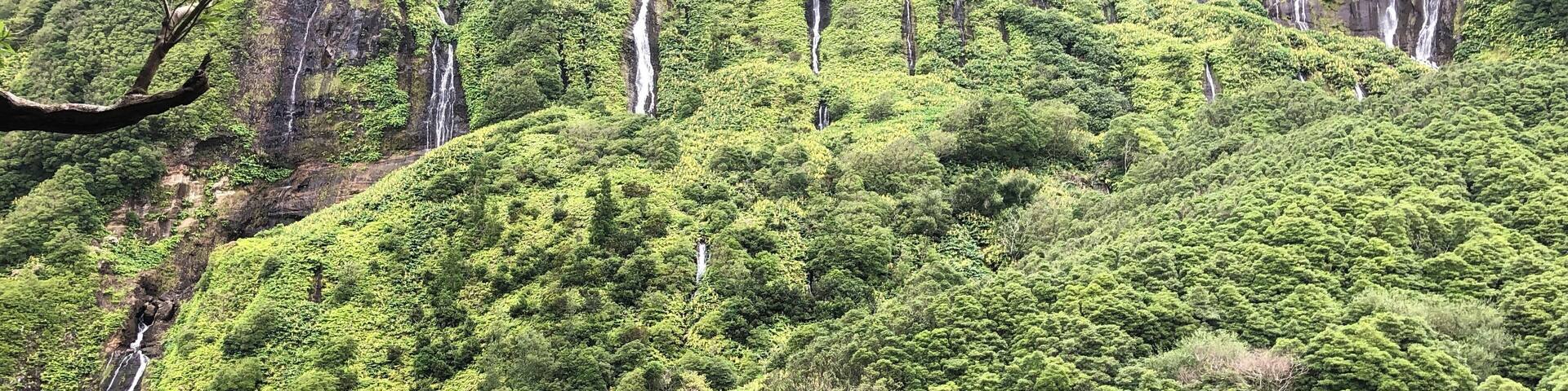 A lush green landscape with a calm lake reflecting the surrounding trees and a waterfall in the background.