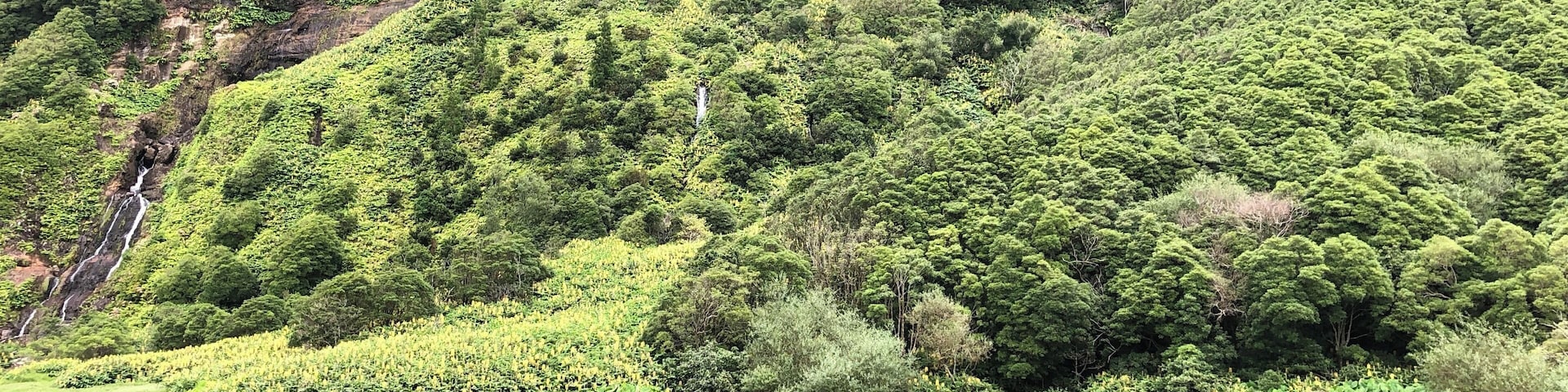 Uma paisagem verde exuberante com um lago tranquilo refletindo as árvores ao redor e uma cascata ao fundo.