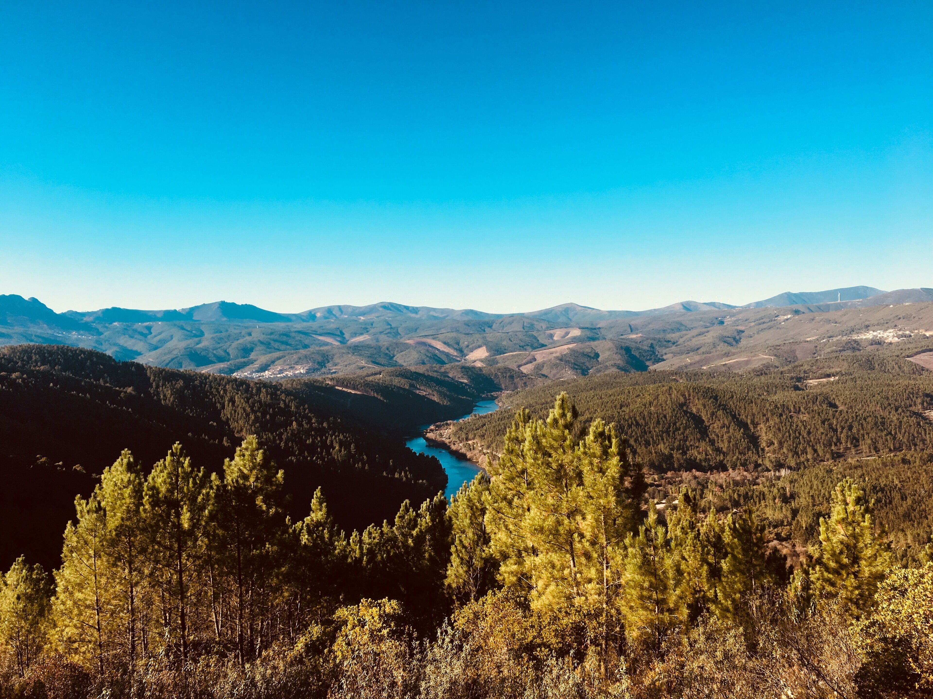 A mountainous landscape with a river, dense forests, and distant hills.
