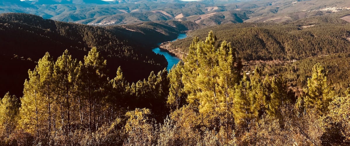 A mountainous landscape with a river, dense forests, and distant hills.
