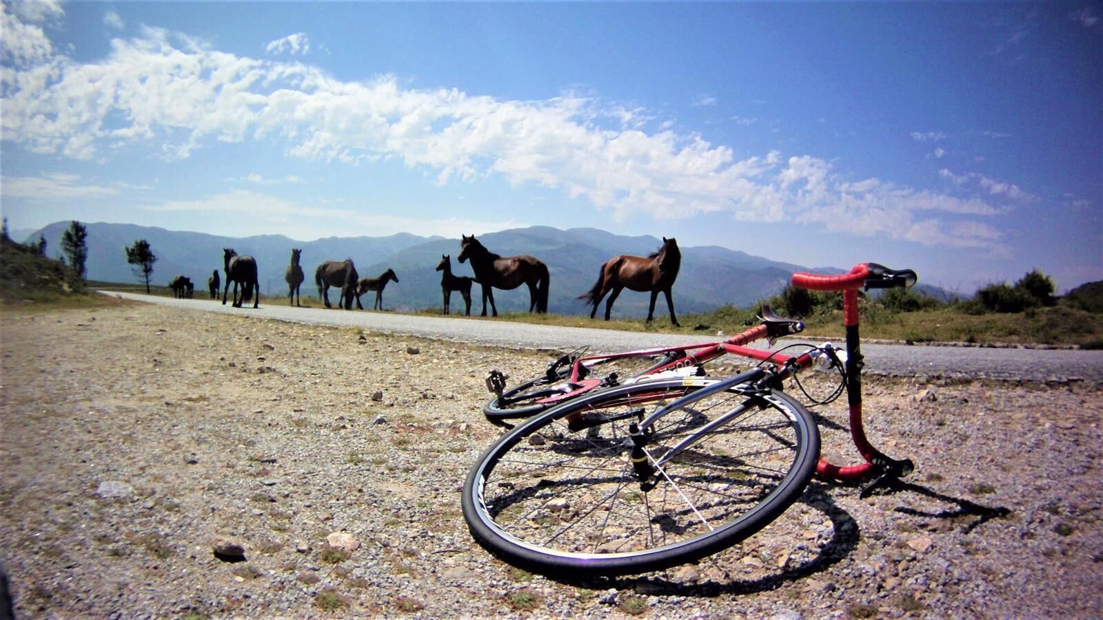 A bicycle on a gravel path with horses in the background and mountains in the distance.